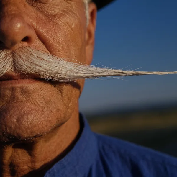 Gros plan généré par IA de la bouche de Kalman et de sa longue moustache blanche, sur le ciel du soir